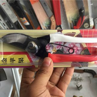 金蘋果手剪 ，整枝剪