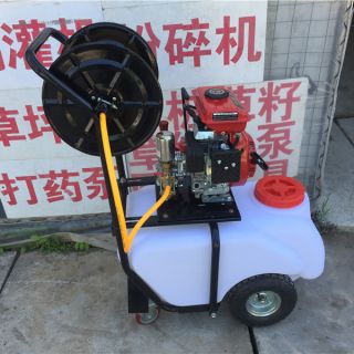 上海園林打藥泵，100L打藥泵，汽油打藥機(jī)
